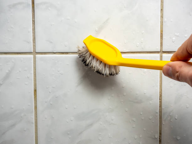 Best Mold Remediation  in Lake Park, FL